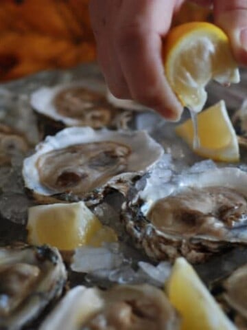 Canada Oysters