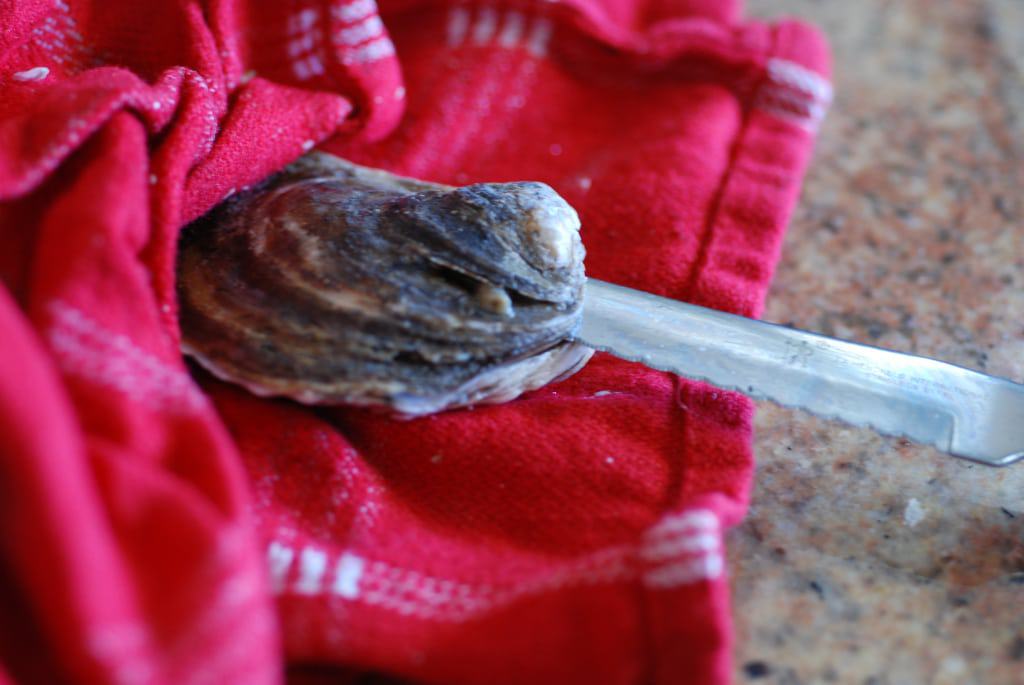 how to shuck an oyster-3