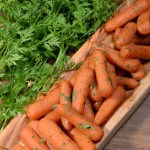 France glazed carrots