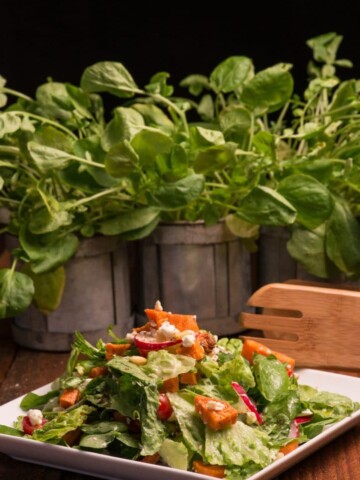 New Zealand Kumara salad