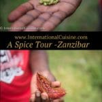 Zanzibar Spice tour