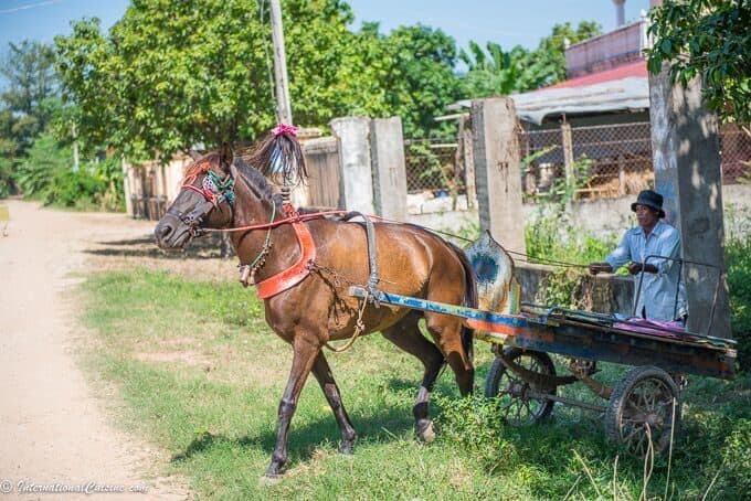 a horse with a flat bed carriage