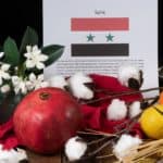 the syrian flag with jasmine, pomegranate, citrus and wheat symbols of Syria.