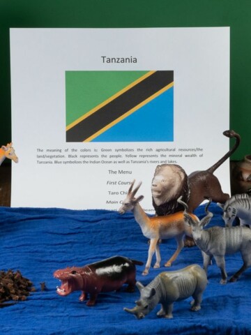 The Tanzanian flag with safari animal and a photo of mount Kilamajaro