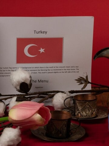 Symbols of Turkey, the flag, cotton, tulips, whirling dervish, evil eye, and Turkish coffee cups.