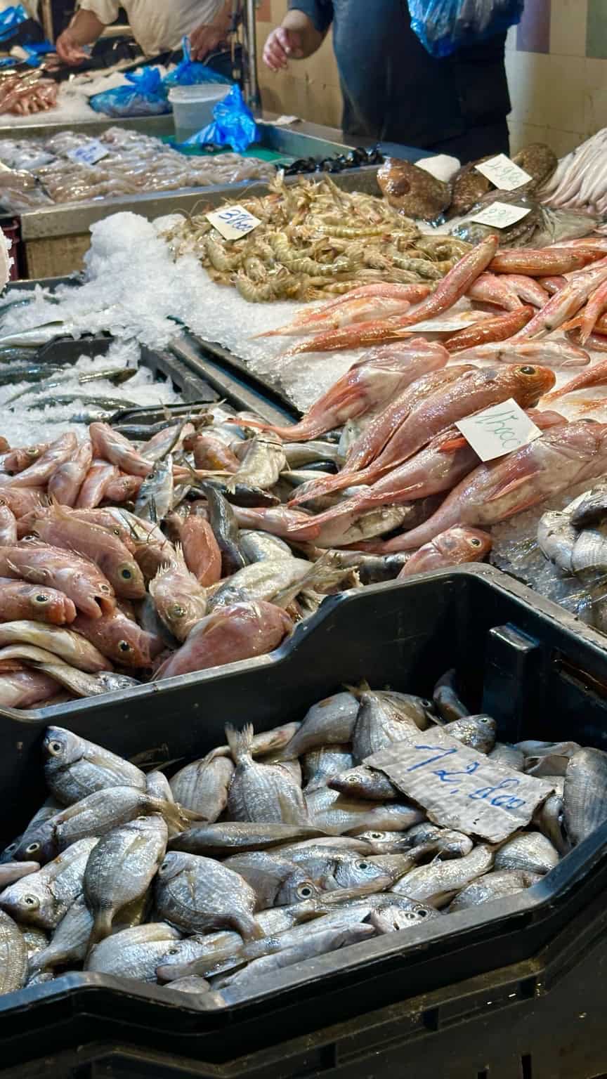 fresh Mediterranean fish and shrimp displayed on ice at a fish market in Tunis, Tunisia.