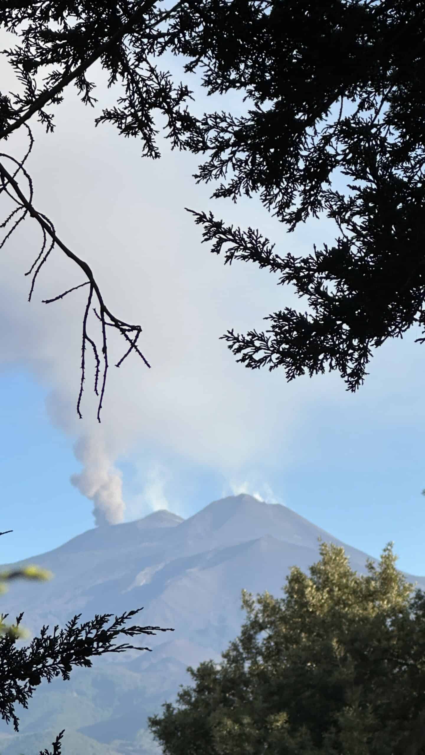 Mount Etna rising in the distance beneath a blue sky, framed by leafy trees in Sicily